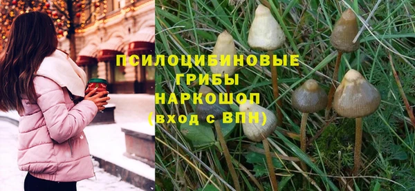амфетамин Гусь-Хрустальный