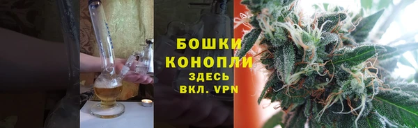 гидра Гусиноозёрск