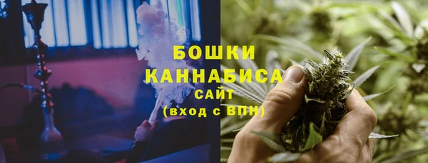 прущие грибы Гусев