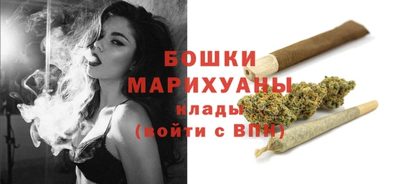 прущие грибы Гусев