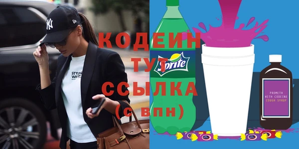 прущие грибы Гусев