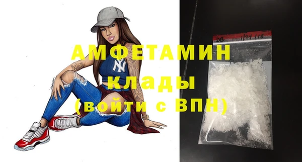 прущие грибы Гусев