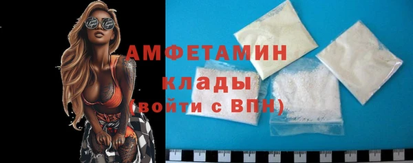 прущие грибы Гусев