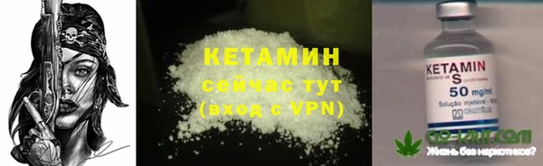 гидра Гусиноозёрск