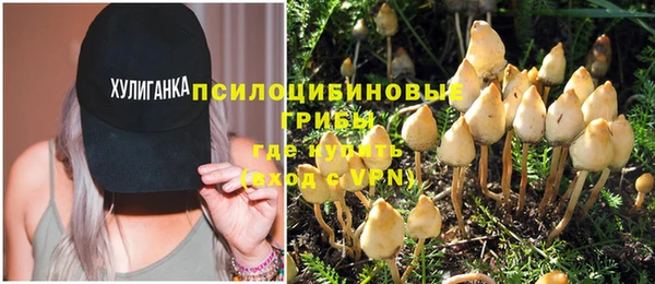 ECSTASY Горняк