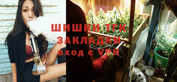 гидра Гусиноозёрск
