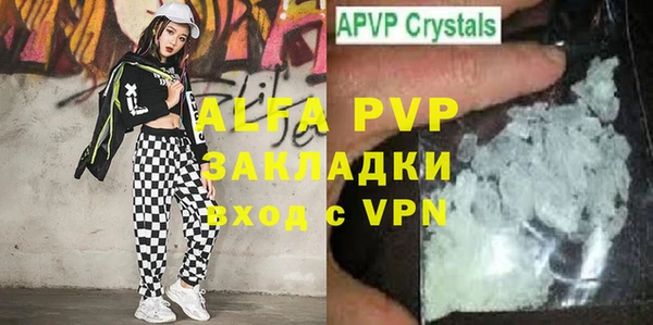 гидра Гусиноозёрск
