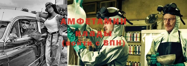 прущие грибы Гусев