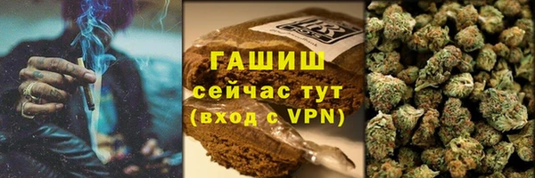 гидра Гусиноозёрск