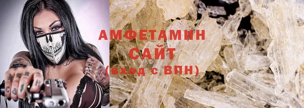 прущие грибы Гусев