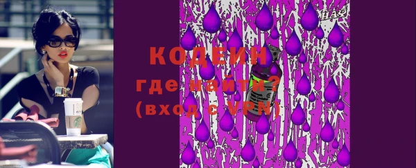 прущие грибы Гусев