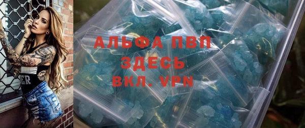 гидра Гусиноозёрск