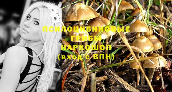 гидра Гусиноозёрск