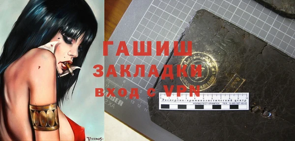 прущие грибы Гусев