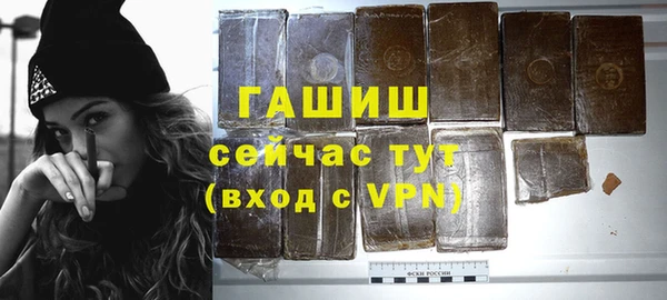 прущие грибы Гусев