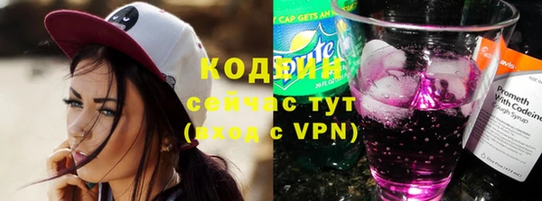 гидра Гусиноозёрск